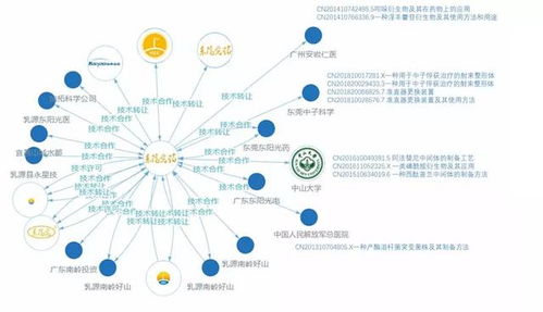 北京中科企慧知识产权服务有限公司新闻资讯